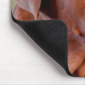 Hunde mit rosa Augenbrille Mousepad (Ecke)