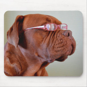 Hunde mit rosa Augenbrille Mousepad