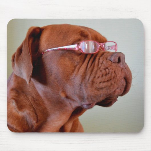 Hunde mit rosa Augenbrille Mousepad (Vorne)