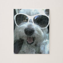Hunde mit Sonnenbrille