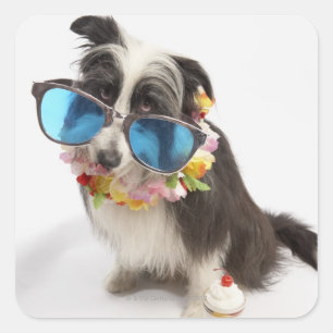 Hunde mit Sonnenbrille und Parfait Quadratischer Aufkleber