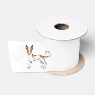 Hunde mit weißer und roter Ibizan-Hunde, glatter C Satinband