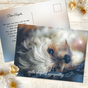 Hunde-Mitgefühlskarte Postkarte