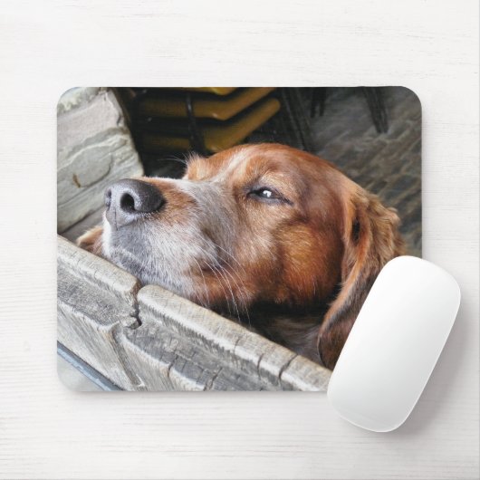 HUNDE MOUSEPAD (Mit Mouse)