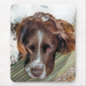 HUNDE MOUSEPAD (Vorne)