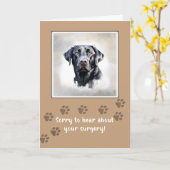 Hunde nach der Operation mit schwarzem Labor Karte (Gelbe Blume)