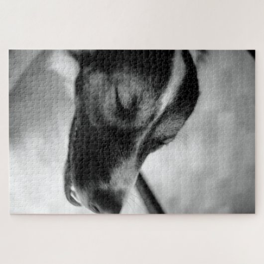 Hunde nachts aus puzzle (Horizontal)