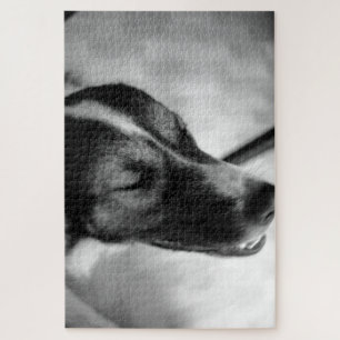 Hunde nachts aus puzzle