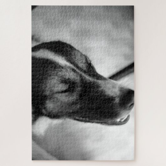 Hunde nachts aus puzzle (Vertikal)