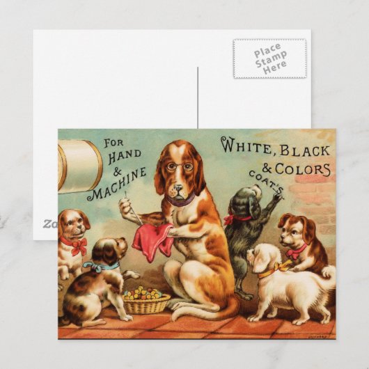 Hunde nähen postkarte (Vorne/Hinten)