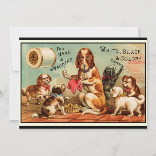 Hunde Nähen Postkarte (Vorderseite)