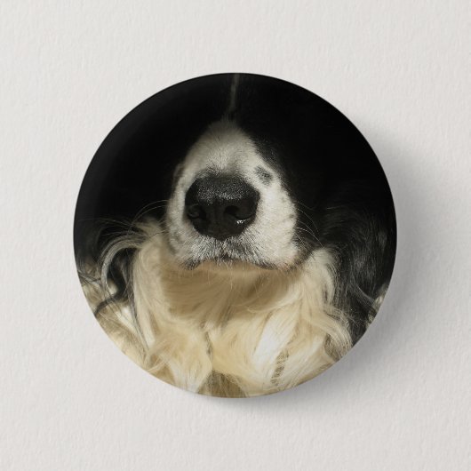 Hunde Nase nah Button (Vorderseite)