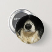 Hunde Nase nah Button (Vorne & Hinten)