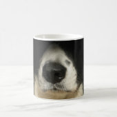Hunde Nase nah Kaffeetasse (Mittel)