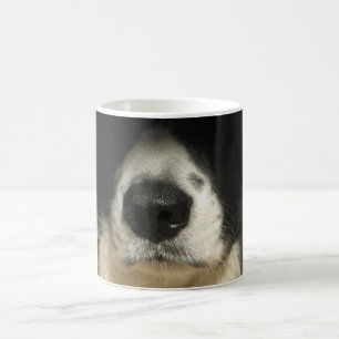 Hunde Nase nah Kaffeetasse
