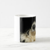 Hunde Nase nah Tasse (Mittel)