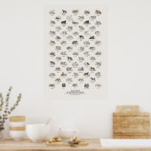 Hunde - Naturalist's Library Poster (Küche)