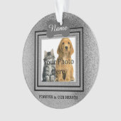 Hunde oder Katzensilber Perfekte Erinnerungen Ornament (Vorderseite)