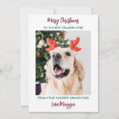 Hunde Opa Frohe Weihnachten Personalisiertes Foto (Vorderseite)