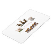 Hunde-Paket, Funny Dogs-Paket Magnet (Linke Seite)