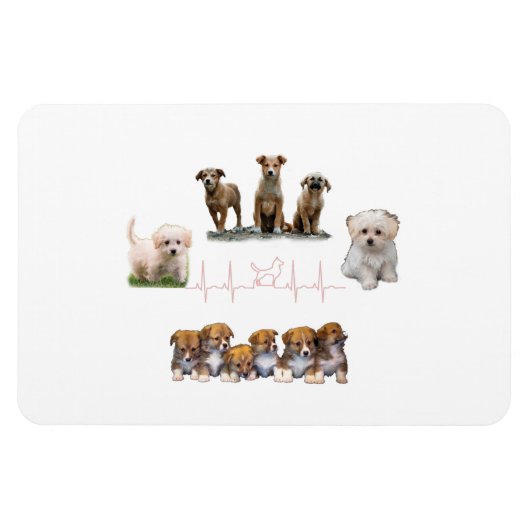 Hunde-Paket, Funny Dogs-Paket Magnet (Horizontal)