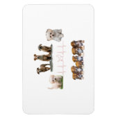 Hunde-Paket, Funny Dogs-Paket Magnet (Vertikal)