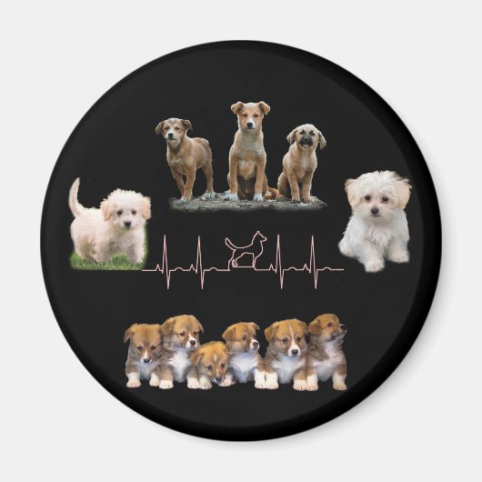 Hunde-Paket, Funny Dogs-Paket Magnet (Vorne)