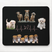 Hunde-Paket, Funny Dogs-Paket Mousepad (Vorne)