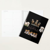 Hunde-Paket, Funny Dogs-Paket Planer (Anzeige)