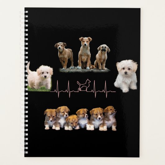Hunde-Paket, Funny Dogs-Paket Planer (Vorderseite)