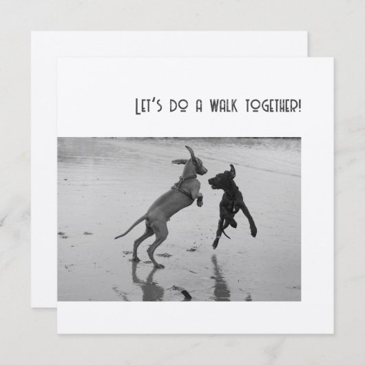 Hunde Party oder Pawty (Vorne/Hinten)