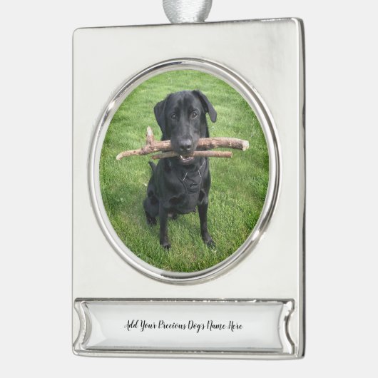 Hunde Personalisierter Name und Foto Banner-Ornament Silber (Links)