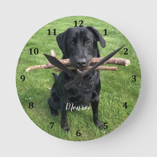 Hunde Personalisierter Name und Foto Runde Wanduhr (Vorderseite)