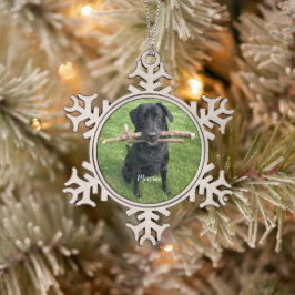 Hunde Personalisierter Name und Foto Schneeflocken Zinn-Ornament