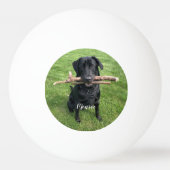 Hunde Personalisierter Name und Foto Tischtennisball (Vorderseite)