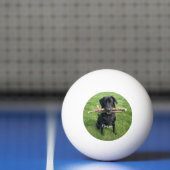 Hunde Personalisierter Name und Foto Tischtennisball (Netto)