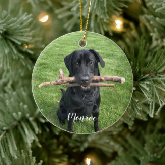 Hunde Personalisierter Name und Foto Urlaub Keramik Ornament