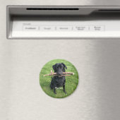 Hunde Personalisierter Name und Foto Urlaub Magnet (In Situ (Geschirrspüler))