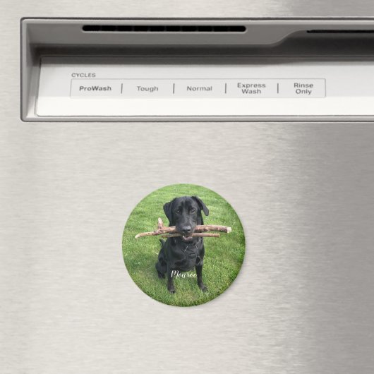 Hunde Personalisierter Name und Foto Urlaub Magnet (In Situ (Geschirrspüler))