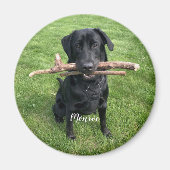 Hunde Personalisierter Name und Foto Urlaub Magnet (Vorne)