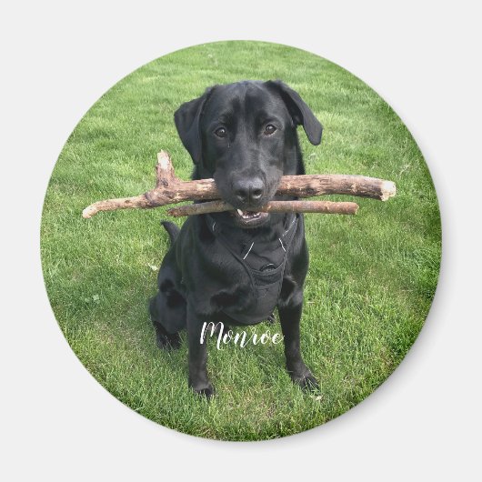 Hunde Personalisierter Name und Foto Urlaub Magnet (Vorne)