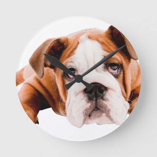 HUNDE, PETS BULLDOG NIEDLICH ADORABLE DIGITALE REA RUNDE WANDUHR (Vorderseite)