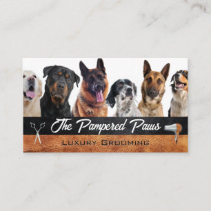 Hunde   Pflegewerkzeuge Visitenkarte