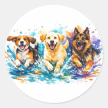 Hunde planschen