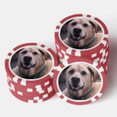 Hunde-Poker-Chips Pokerchips (Stapel)