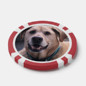 Hunde-Poker-Chips Pokerchips (Einzeln)