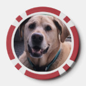 Hunde-Poker-Chips Pokerchips (Rückseite)