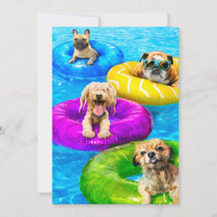 Hunde-Poolparty Einladung