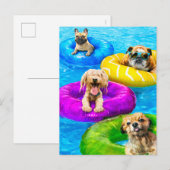Hunde-Poolparty Einladungspostkarte (Vorne/Hinten)