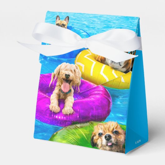 Hunde-Poolparty Geschenkschachtel (Vorderseite)
